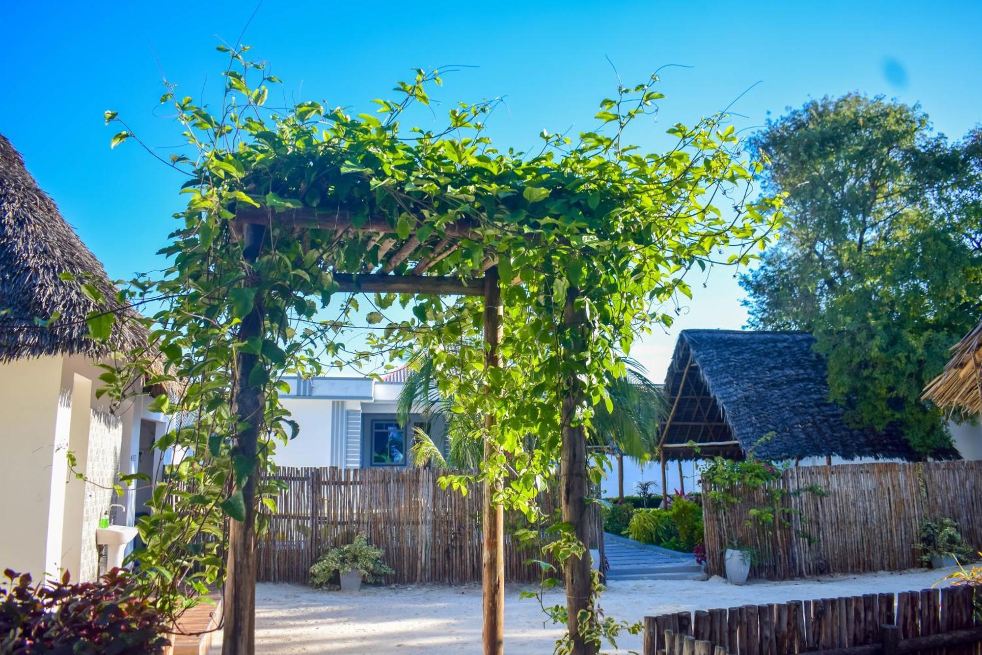 Uhuru House And Restaurant Nungwi Zewnętrze zdjęcie